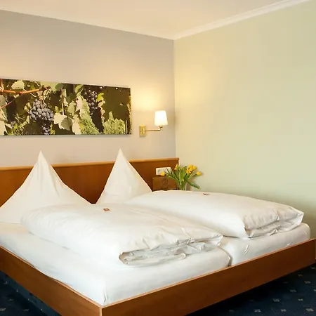 Hotel Zur Bretzel 3*